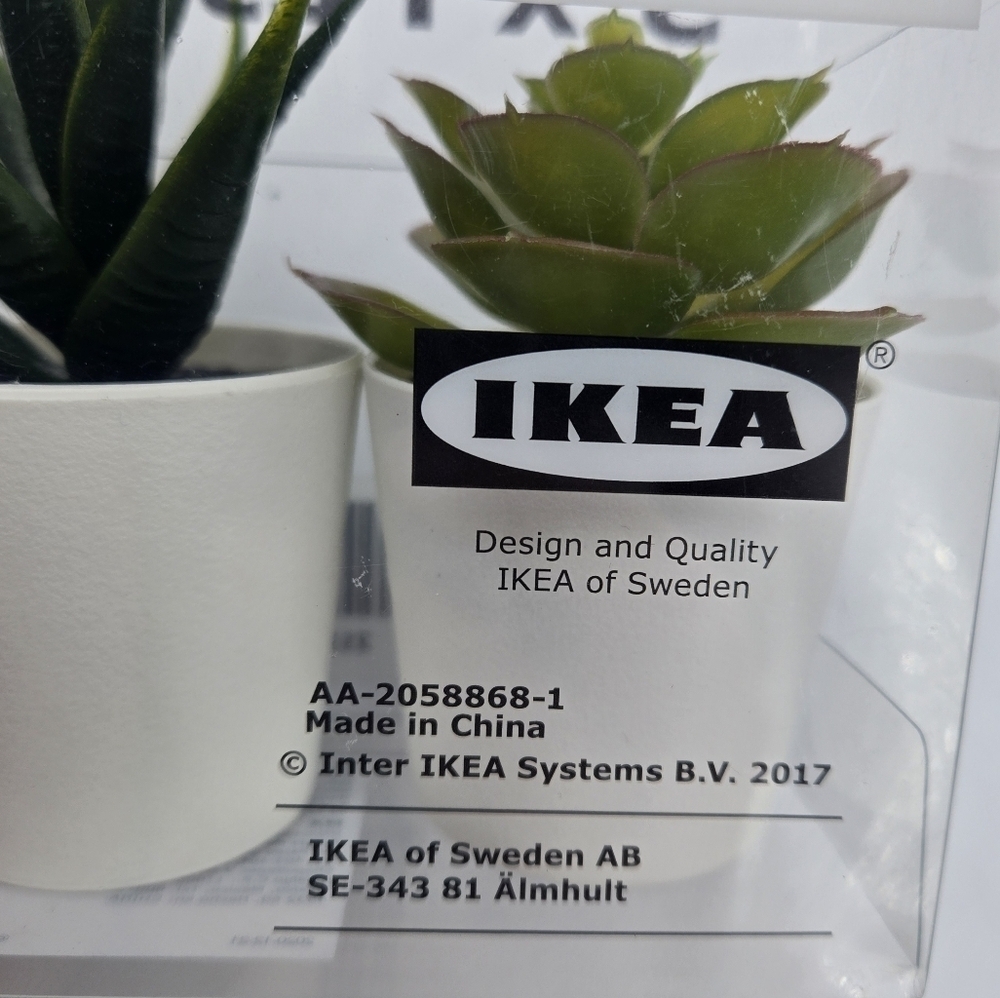 Ikea Fejka 3 faux Succulent Plants - Picture 5 of 7